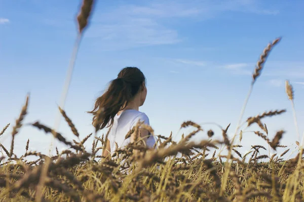 Mulher feliz no campo de trigo. O conceito de unidade com a natureza — Fotografia de Stock