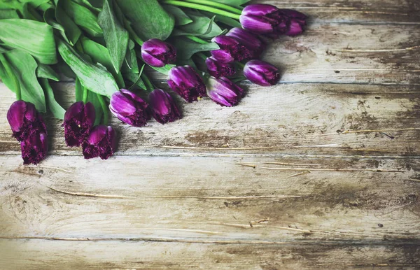 Tulipes Terry violet sur fond en bois, place pour votre texte — Photo