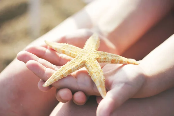 Étoile de mer dans les mains de l'enfant sur la plage, gros plan — Photo