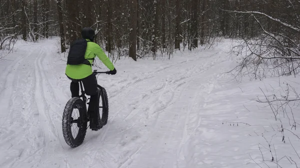 Fat bike also called fat bike or fat-tire bike - Cycling on large wheels in the winter forest. — Stock Photo, Image