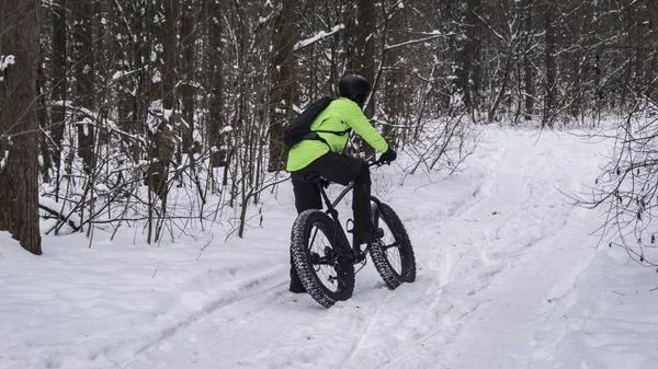 Жирный велосипед также называют жирный велосипед или жировые шины велосипед - Велоспорт на больших колесах в зимнем лесу . — стоковое фото
