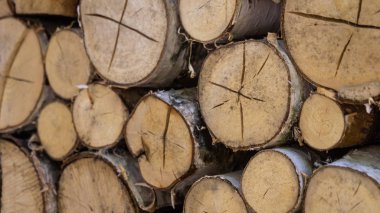 Huş ağacı ahşap kıyılmış ve yığılmış yığını. Doku, arka plan