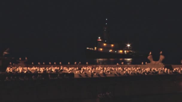 Gaviotas y remolcadores por la noche — Vídeos de Stock