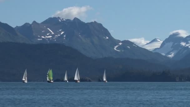 Voiliers par chaîne de montagnes pittoresque — Video