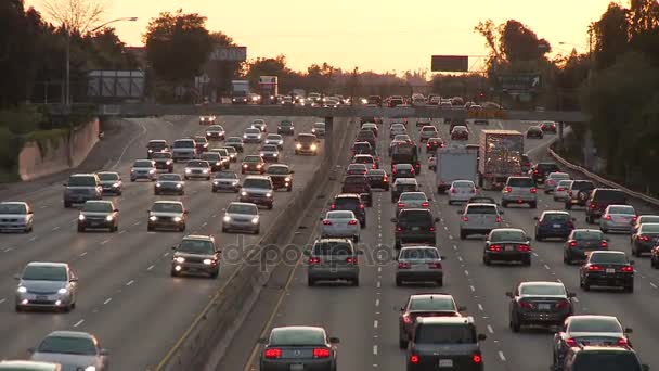 Autoroute lente et fréquentée à la — Video