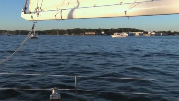 Sailing in the harbor — Stock Video