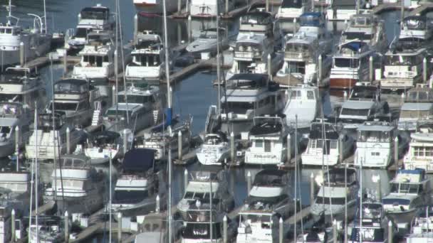サンディエゴ港マリーナ ボート ヨット — ストック動画