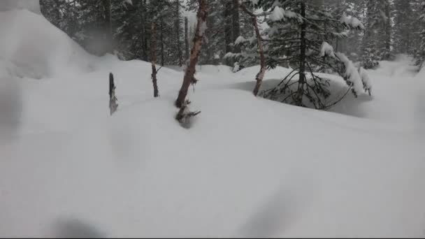 Мамай снегопад (Timelapase ) — стоковое видео