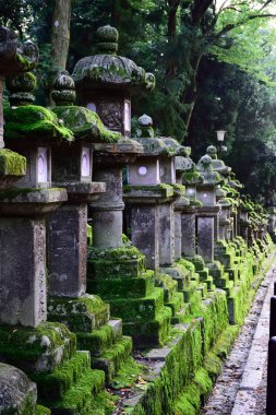 Tapınak Nara fenerler