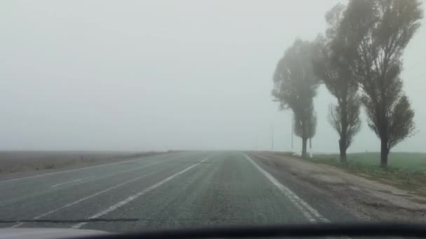 Neblige Straßen Und Fahrbahnmarkierungen Horizontales Bild Schlechte Sicht — Stockvideo