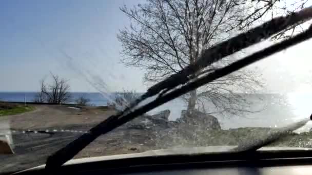 Correndo Limpadores Carro Fundo Madeira Lago Sol Cintilante Raios Brilham — Vídeo de Stock