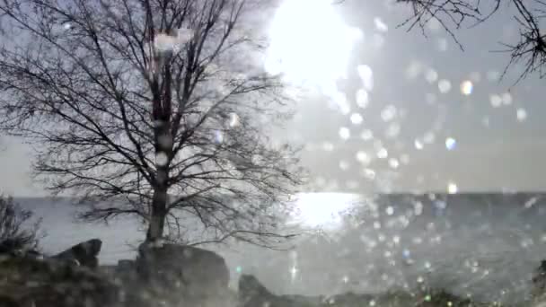 Correndo Limpadores Carro Fundo Madeira Lago Sol Cintilante Raios Brilham — Vídeo de Stock