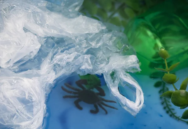 Kis Rák Egy Műanyag Zacskóba Gabalyodva Óceánok Műanyag Szennyeződése Ökológia — Stock Fotó
