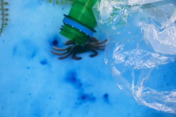 Small crab entangled in a plastic bag. Plastic pollution of the oceans. Ecology and environment protection concept