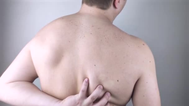 Douleur Épaule Homme Rendez Vous Chez Médecin Avec Vertébrologue Plaignant — Video