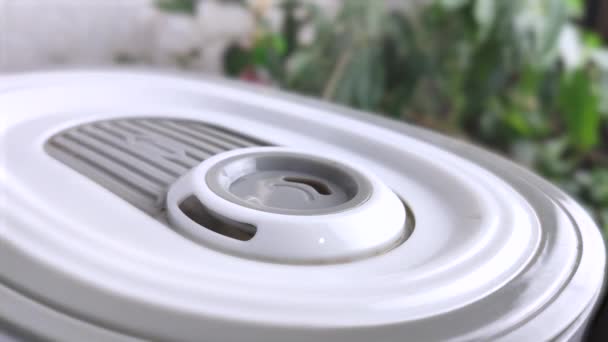 Humidificateur Fonctionne Sur Fond Plantes Vapeur Provient Des Trous Humidificateur — Video