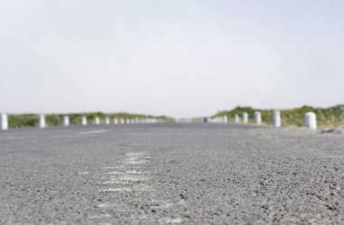 Yol. Paul da Serra. Madeira. 