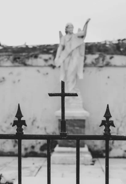 Croce Angelo Sul Cimitero — Foto Stock