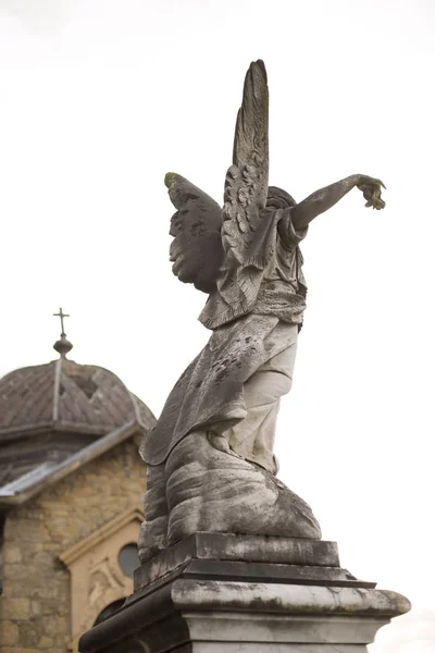 Estátua Anjo Cúpula Cemitério — Fotografia de Stock