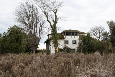 Eski harabe ev, detaylar.