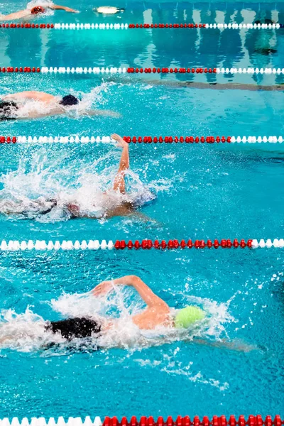 Nadadores de estilo libre en una competición de natación — Foto de Stock