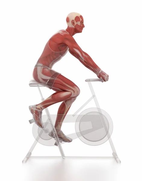 Ejercicio y concepto de fitness - calentamiento de la bicicleta —  Fotos de Stock