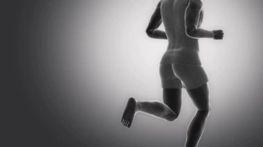  insan gluteus maksimus kas