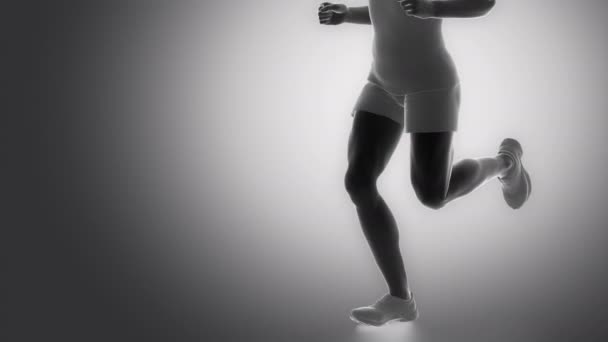 人类肌内侧肌肉 — 图库视频影像