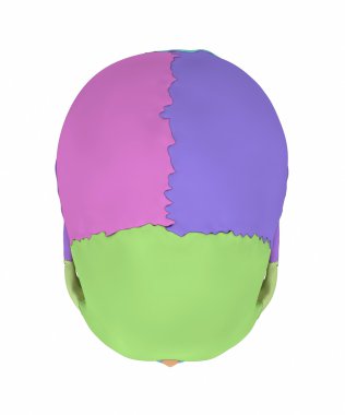 İnsan kafatası anatomisi