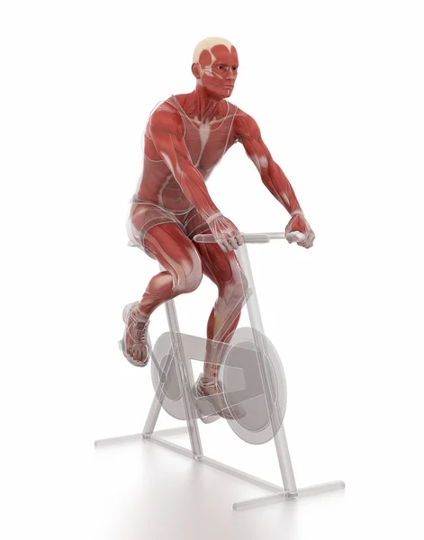 Człowieka, ćwiczenia na siłowni rowerów — Zdjęcie stockowe