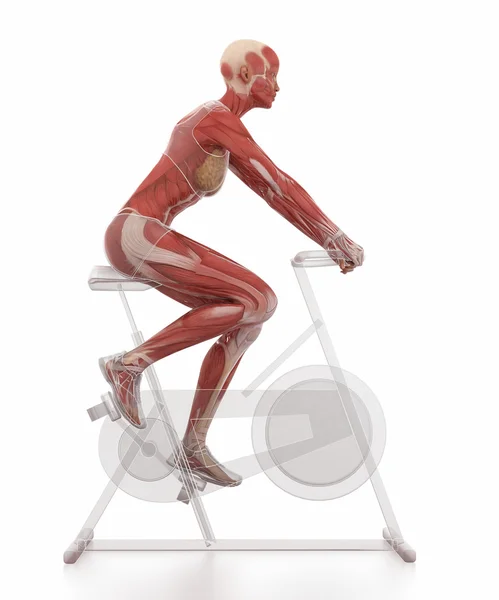 Woman exercising on gym bicycle — Stock Photo, Image