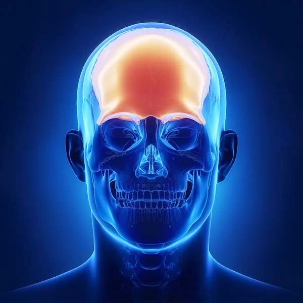 Os frontal du crâne humain — Photo