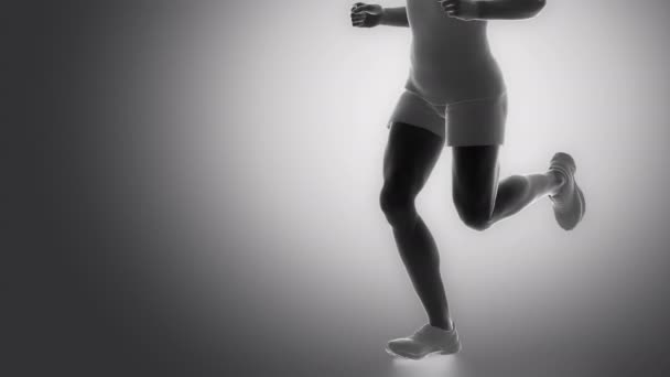 Músculos retos femorais humanos — Vídeo de Stock