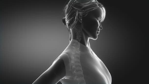 Woman has backbone pain — Stock Video