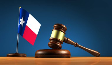 Texas hukuk hukuk sistemi