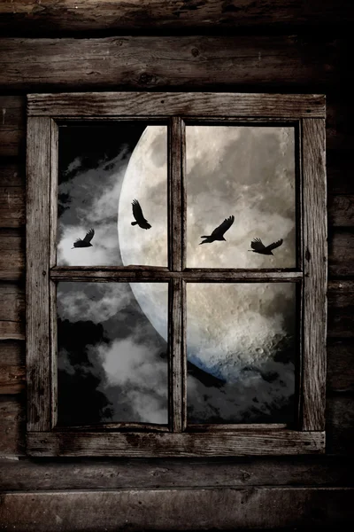 Halloween night ravens — Stock Photo, Image