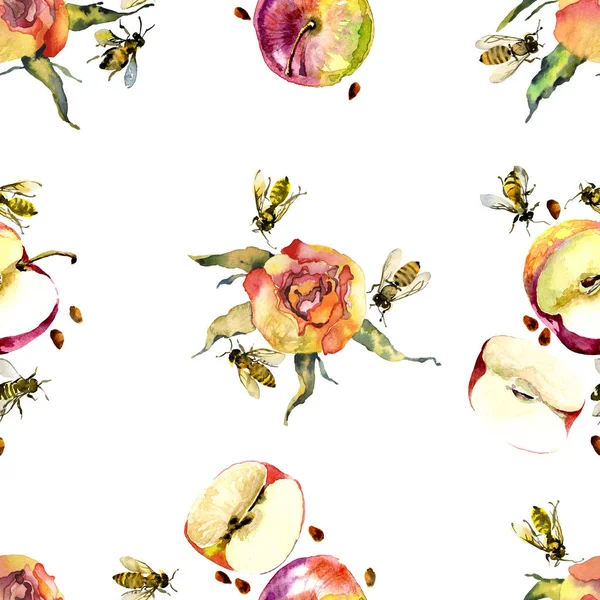 Rosa, hermosas rosas. Manzanas maduras y jugosas. Abejas de miel. Acuarela. Ilustración — Foto de Stock