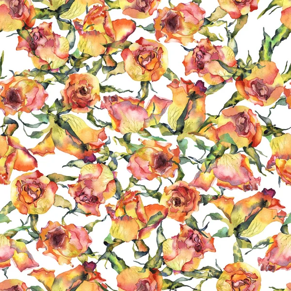 Rot, rosa, schön, Frühling, Sommer, saftige Rosen. Blumenwiese. Aquarell. Illustration — Stockfoto