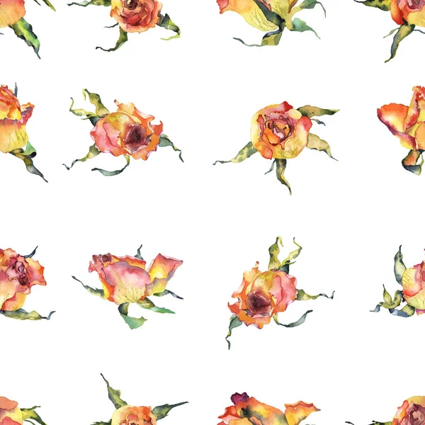 Rot, rosa, schön, Frühling, Sommer, saftige Rosen. Blumenwiese. Aquarell. Illustration — Stockfoto