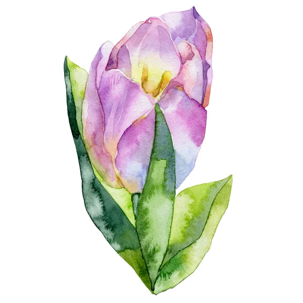 Amarillo, hermoso, jardín, tulipán decorativo. Primavera, verano, femenino, primero, flor púrpura. Una flora fragante, fresca y hermosa. Acuarela. Ilustración — Foto de Stock
