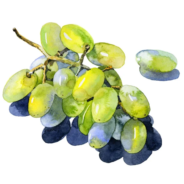 Uvas verdes, moradas, sabrosas y saludables. Baya de vino sureña, madura, fresca. Un ramo de uvas deliciosas y jugosas. Ramo decorativo, salvaje de bayas. Acuarela. Ilustración — Foto de Stock