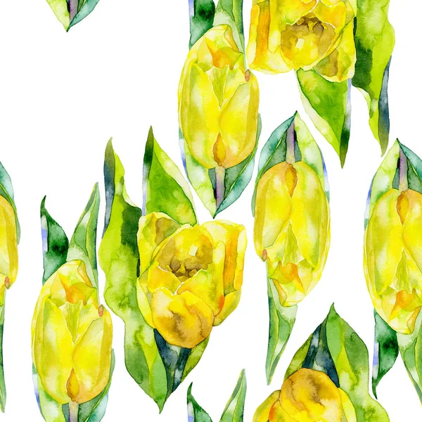 Jaune, belle, jardin, tulipe décorative. Printemps, été, féminin, première fleur violette. Une flore parfumée, fraîche et belle. Aquarelle. Illustration — Photo