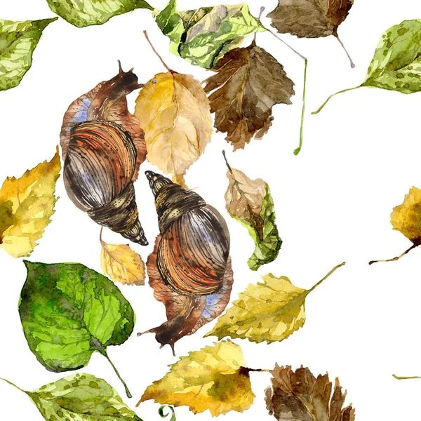 Caracol escorregadio, molhado e molhado em folhas de outono rasteja. Aquarela. Ilustração — Fotografia de Stock