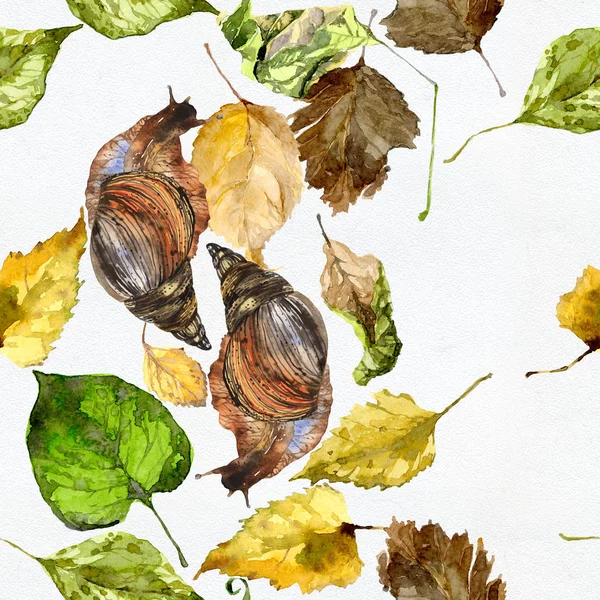 Скользкая, влажная, мокрая улитка в осенних листьях ползает. Акварель. Иллюстрация — стоковое фото