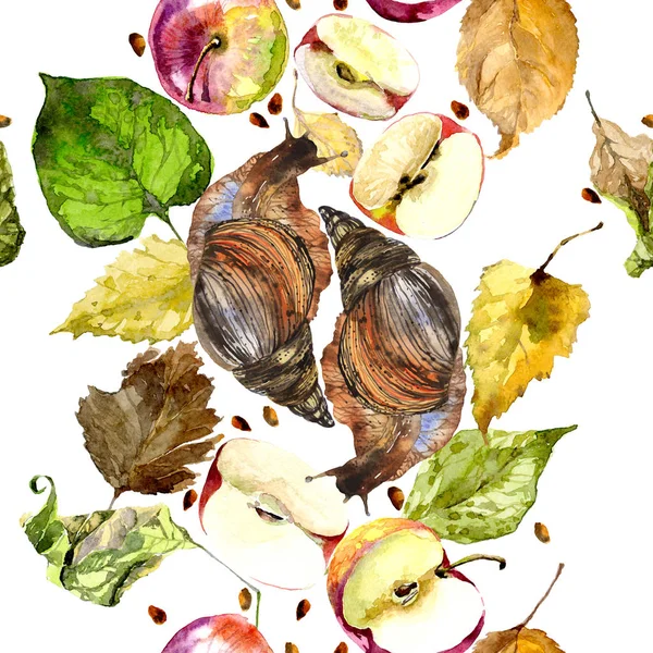 Gladde, natte, vochtige slak in herfst bladeren en rijpe appels kruipt. Aquarel. Illustratie — Stockfoto