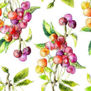 Olgun, sulu, yaz kiraz ve berry desen. Suluboya. İllüstrasyon