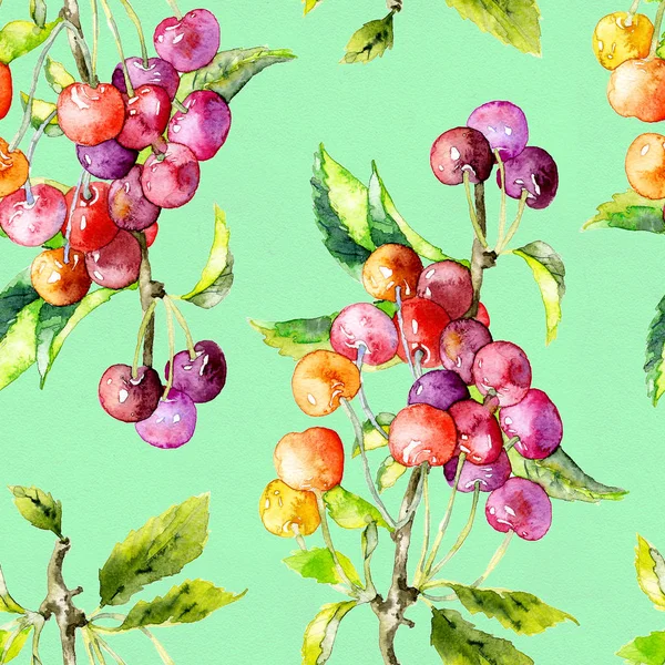 Сочный, сочный, летний вишневый и ягодный узор. Акварель. Иллюстрация — стоковое фото