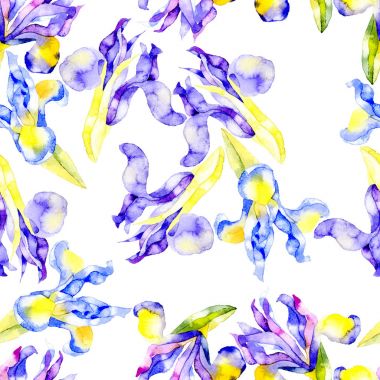 Menekşe, güzel, yaz, zarif, asil, bahçe çiçek iris. İlkbahar, sonbahar florası. Çiçek, kokulu, bal buketi. Suluboya. Illüstrasyon