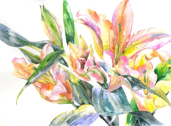 Belle, lumineuse, parfumée, jardin, fleur décorative. Tendre, été, noble lis. Bouquet féminin, festif. Aquarelle. Illustration — Photo