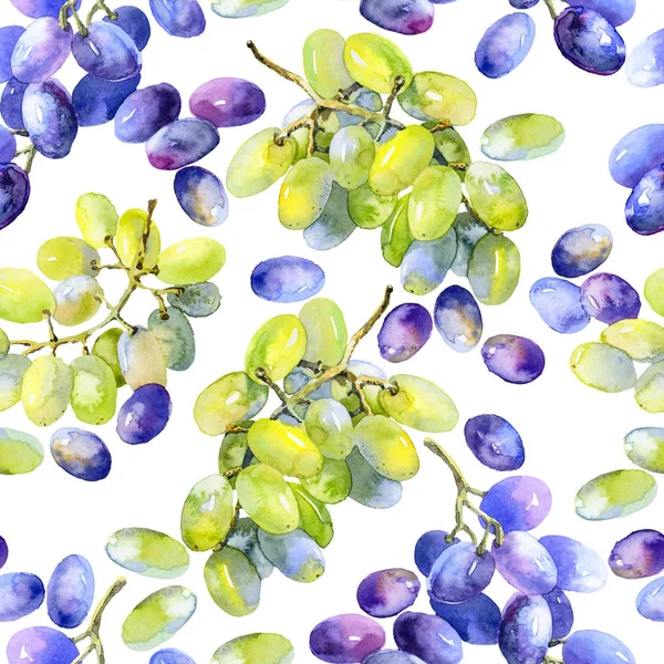 Green, purple, tasty, healthy grapes. Southern, ripe, fresh, wine berry. A bunch of delicious, juicy grapes. Decorative, wild bunch of berries. Watercolor. Illustration